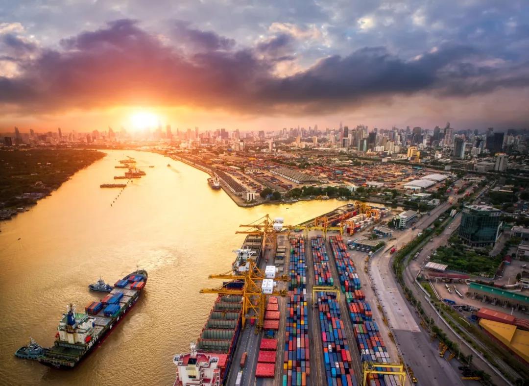 1542244681920539.jpg 5.jpg