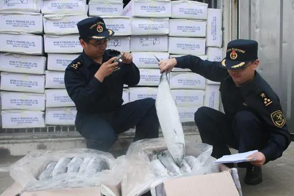 1550631025937555.jpg 2.jpg